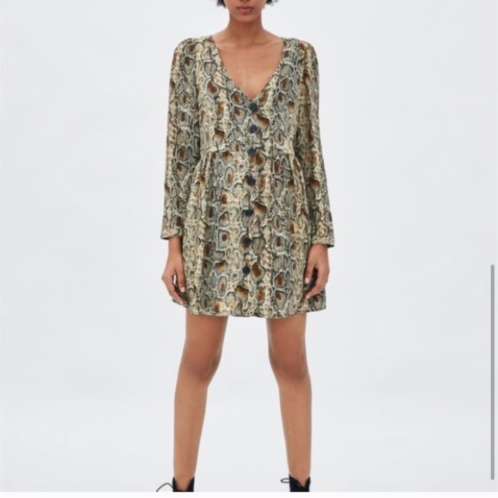 NWOT Long sleeve snakeskin mini dress Size XS